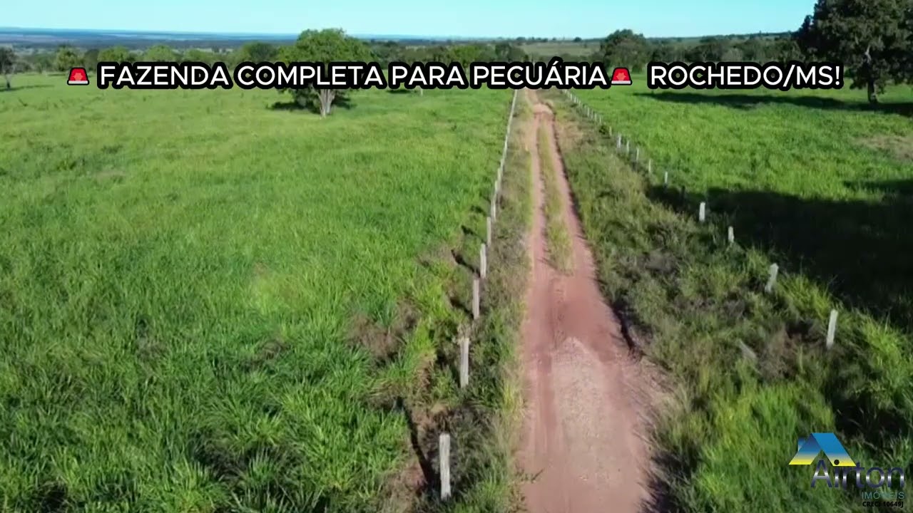 🚨📣🐂 OPORTUNIDADE ÚNICA – FAZENDA NA PECUÁRIA – ROCHEDO/MS 🐂📣🚨