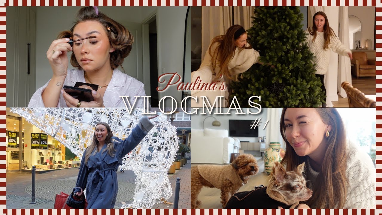 Neues Familienmitglied & erste Weihnachtsvorbereitungen l VLOGMAS #1