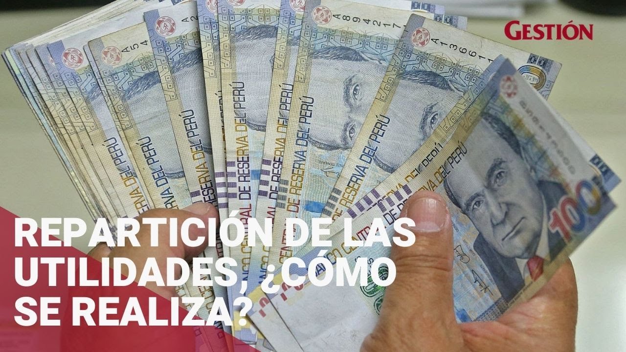 Repartici&oacute;n de las utilidades