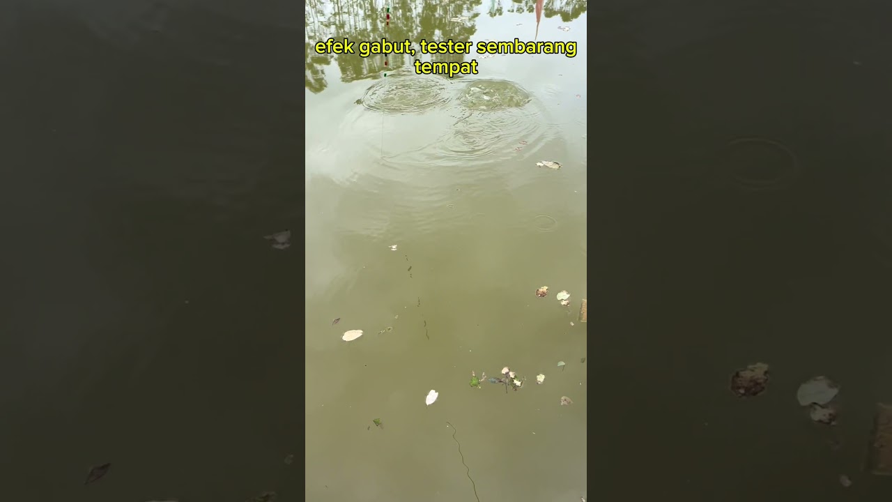 Gabut #hobbymancing #mancing