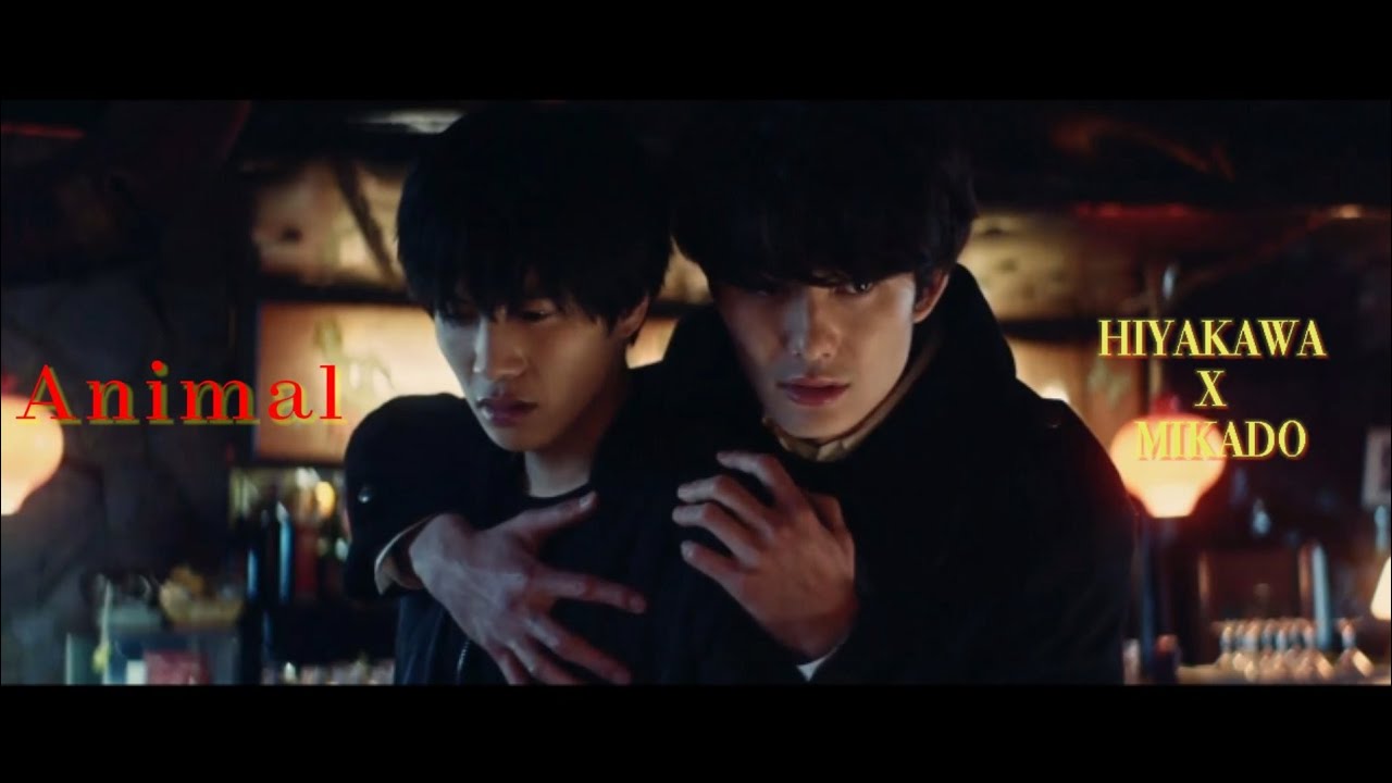 [BL] Hiyakawa x Mikado | Animal || The Night Beyond The Tricornered Window || FMV