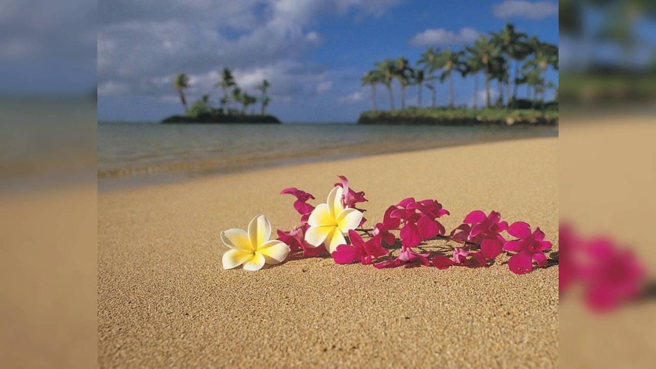 Te ana pehe - N'est-ce pas le plaisir