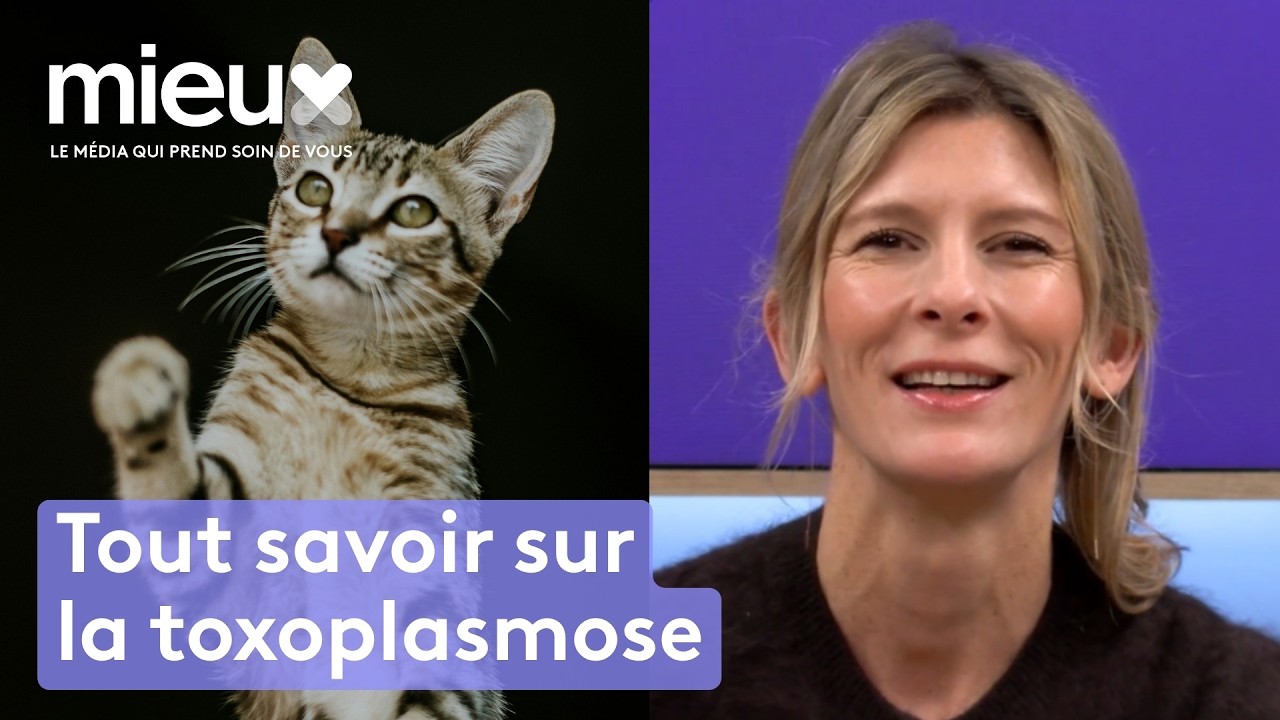 Il va falloir vous séparer de votre chat ! - Mieux avec eux