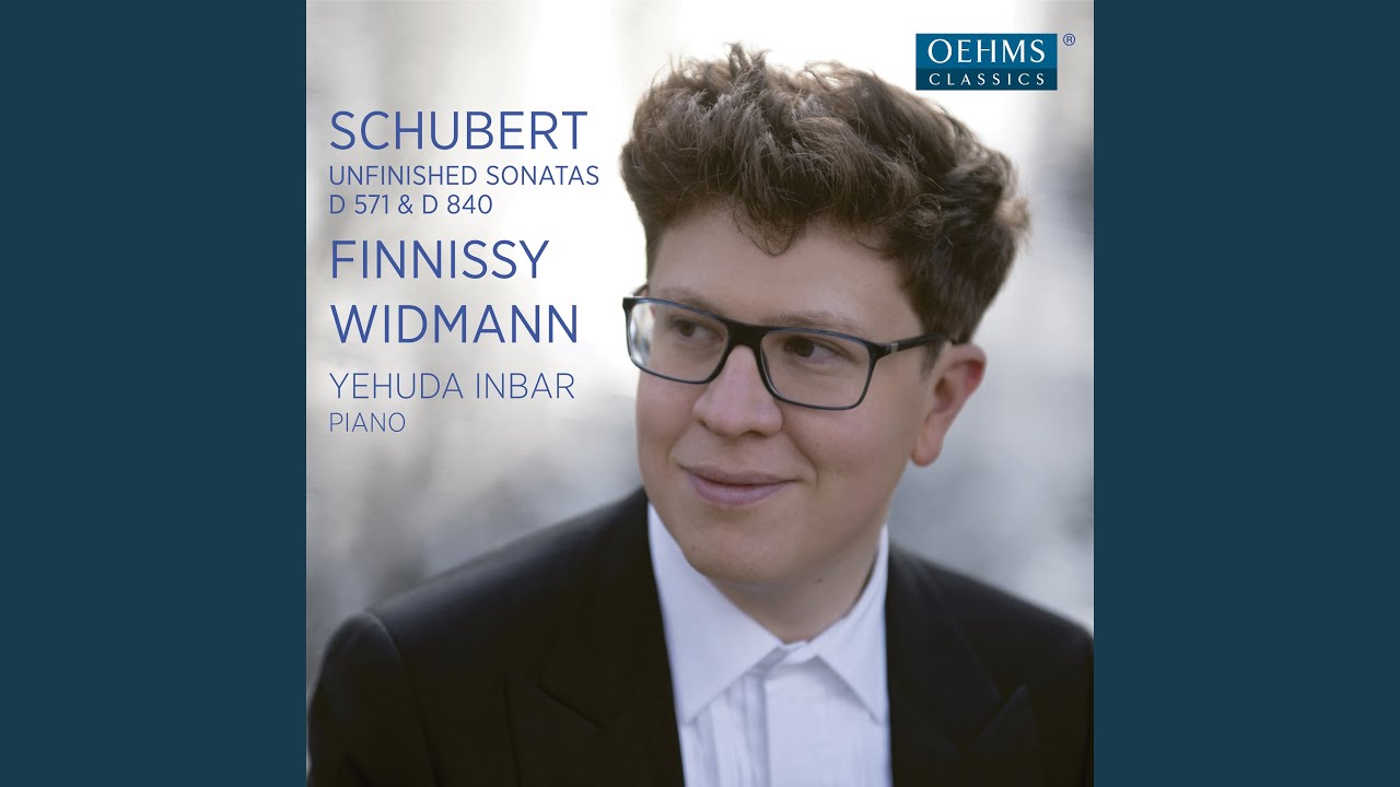 Piano Sonata No. 8 in F-Sharp Minor, D. 571: I. Allegro moderato