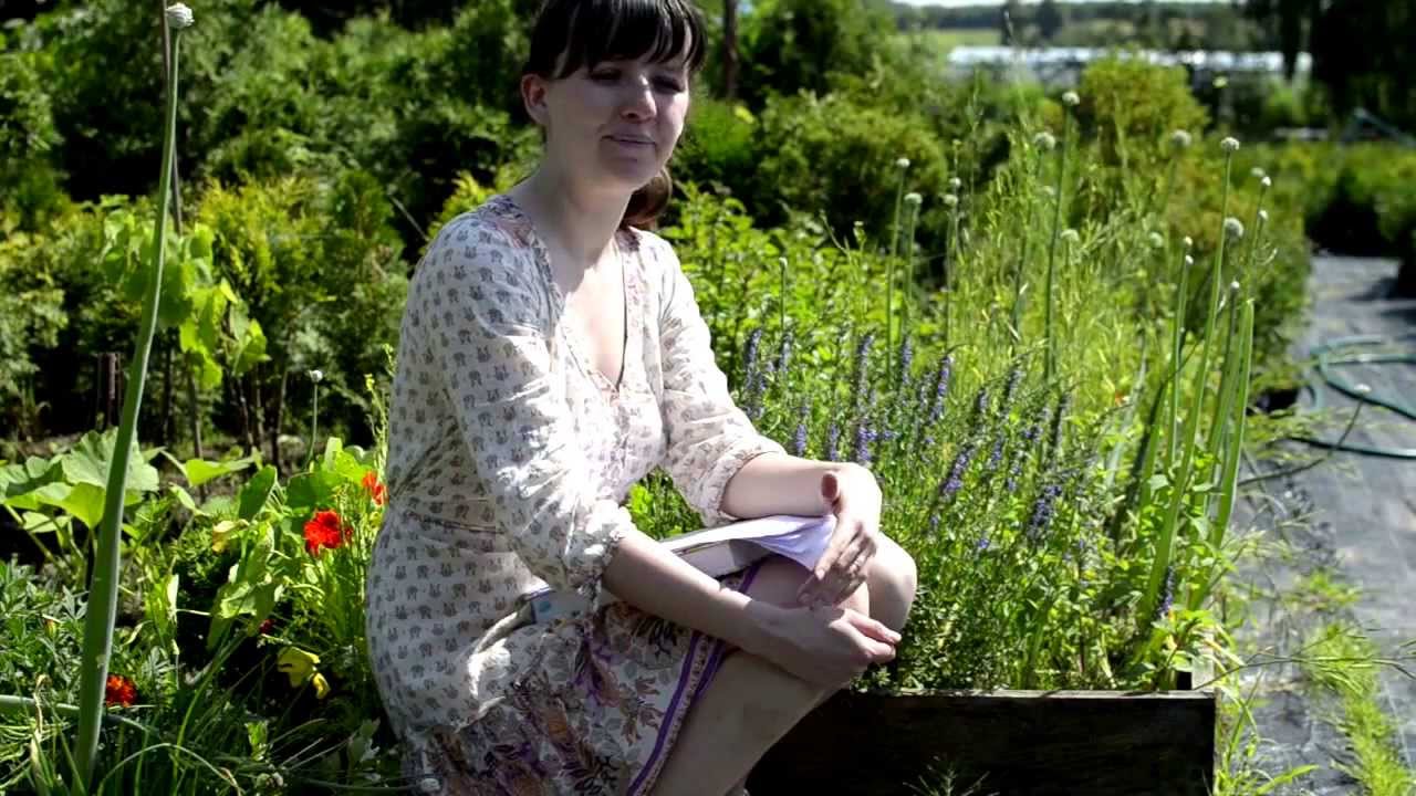 Hyzop lekarski