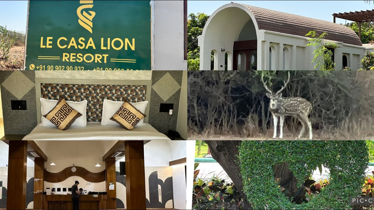 Le Casa Lion Resort, Sasan Gir, Gujarat #2025 #latestvideo