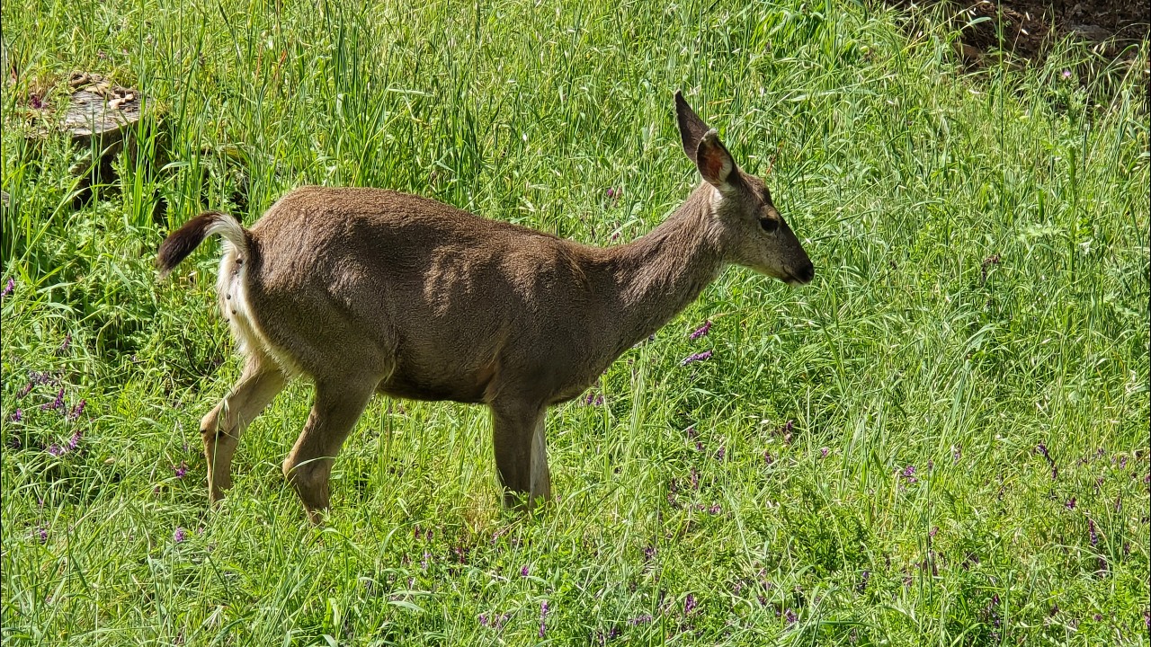 Astrology for the Soul  April 15, 2026
