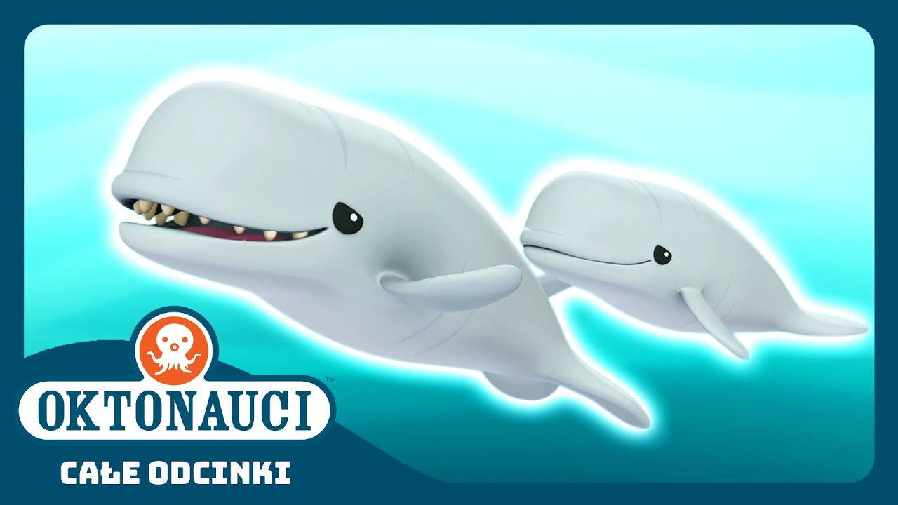 Oktonauci - 🐋 I białuchy arktyczne 🌊 | Cały odcinek 34 | Seria 1