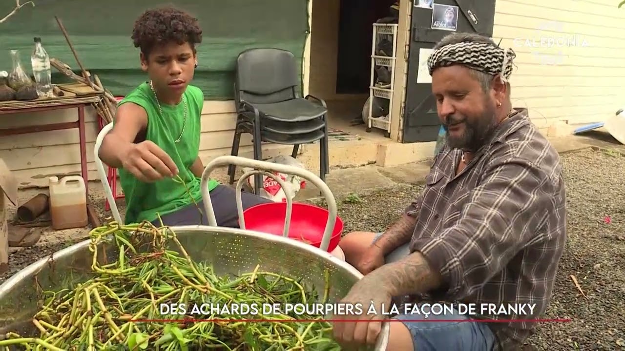 Des achards de pourpiers à la façon de Franky