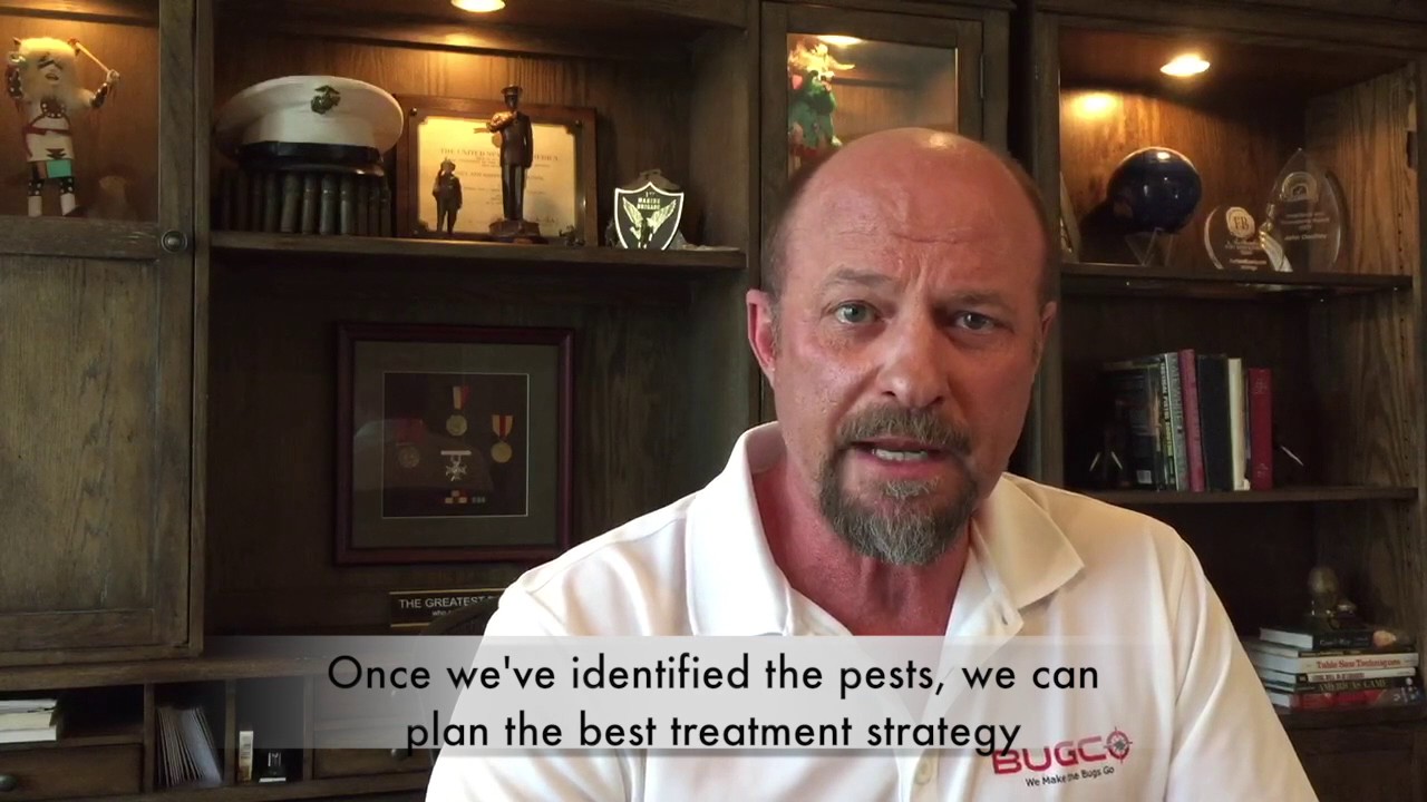 Why Choose BUGCO Pest Control