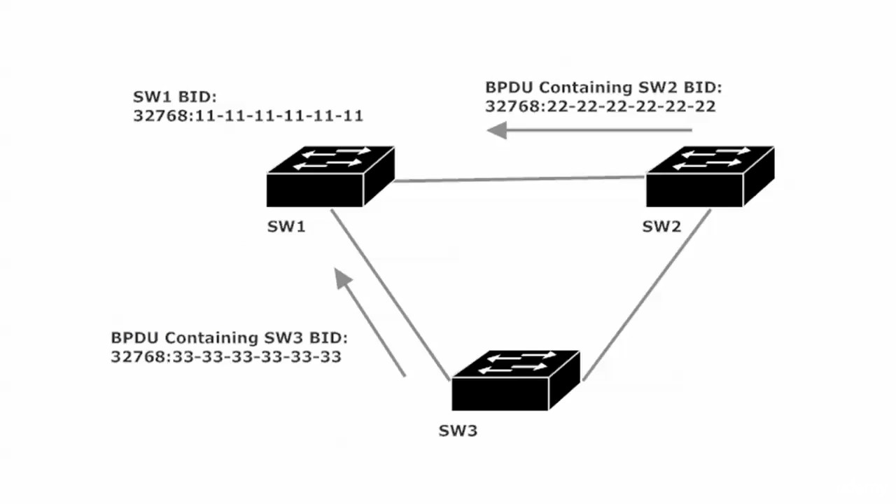 141 STP 3  Root Bridge Election Walkthrough