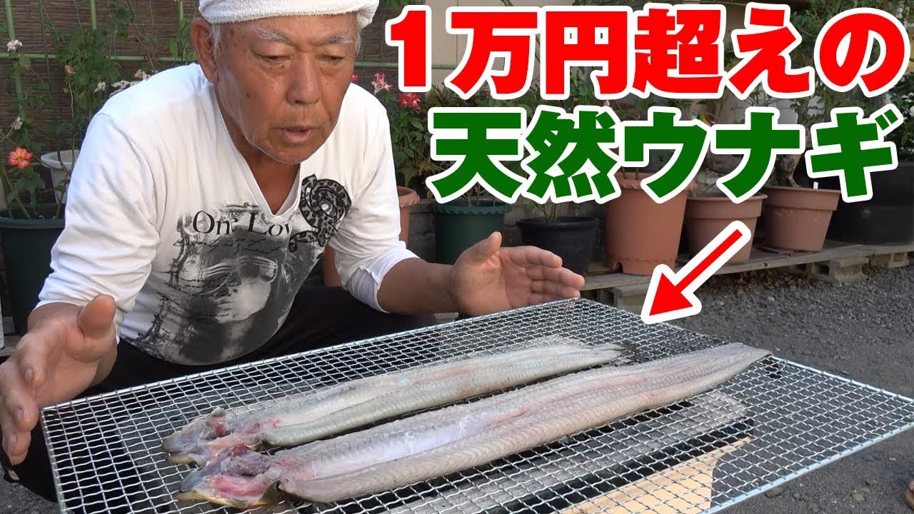 実家の庭で「天然特大うなぎ」を焼いて食う‼