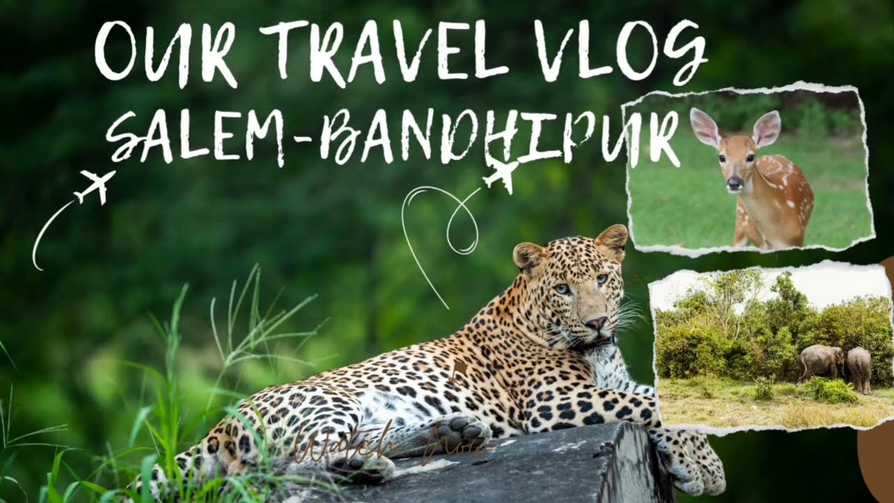 Salem to Bandhipur road trip ep-1