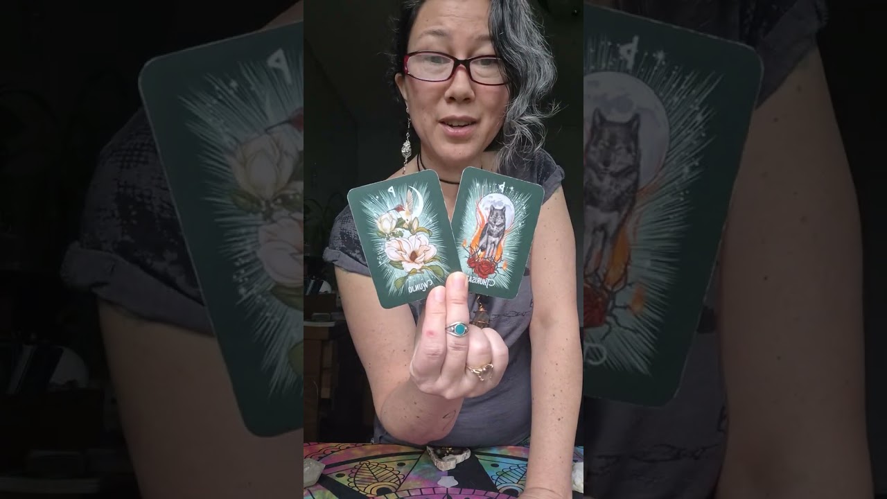 ✨️This Transition Period Is Chaotic As It Purges Out The Old Preparing The New Gorgeous Joyful You✨️