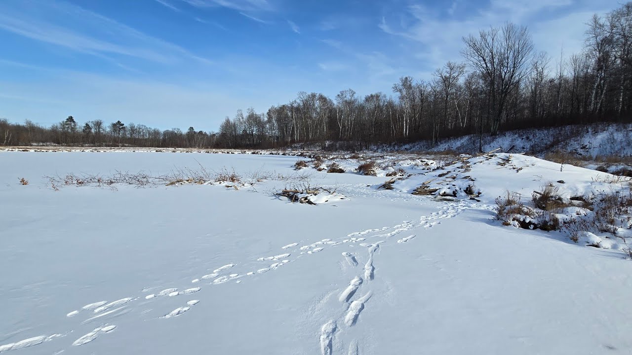 Brainerd Beaver Tour Ep 2 (Iced a Few Beavers on this Bog Pond)