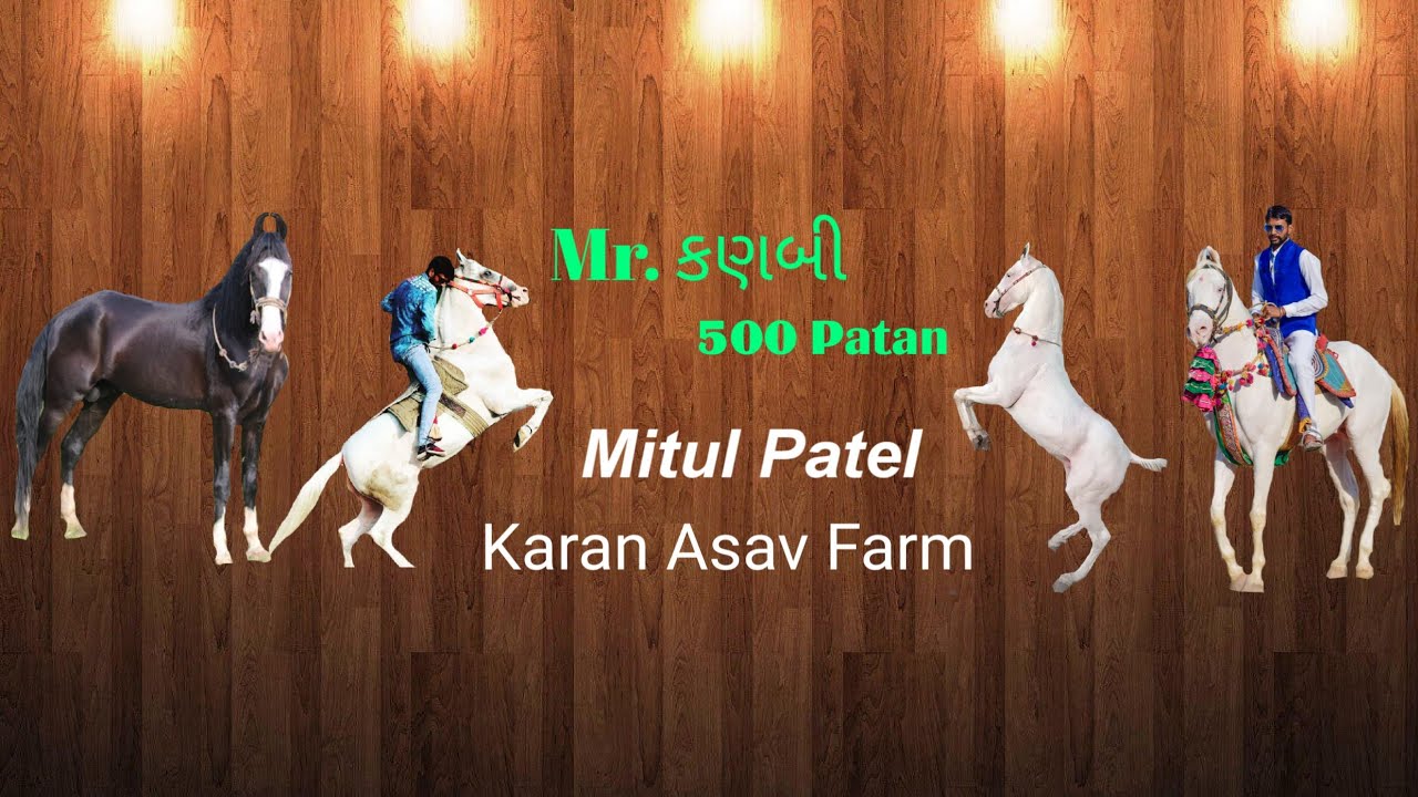 mitulpatel karanasavfarm