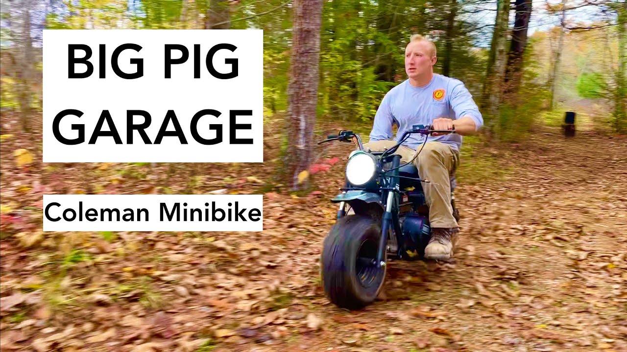 Coleman Minibike Oil Change and More