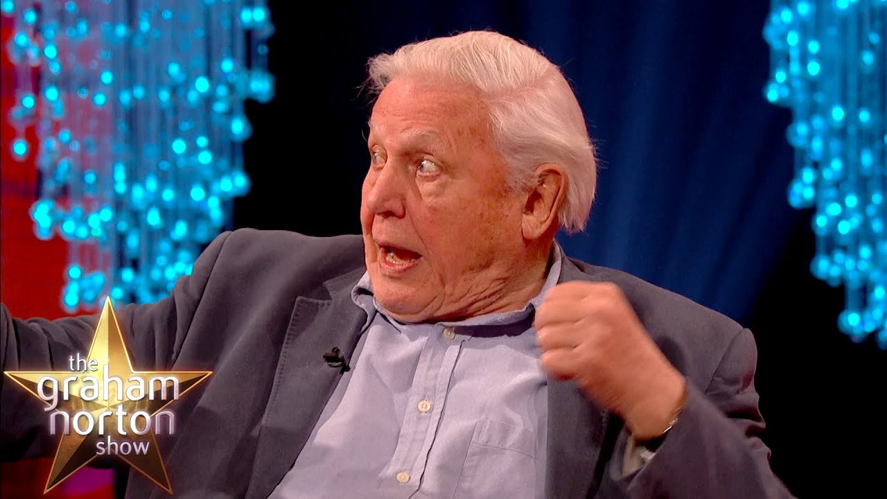 David Attenborough Hit In The Face By A Bat! - The Graham Norton Show