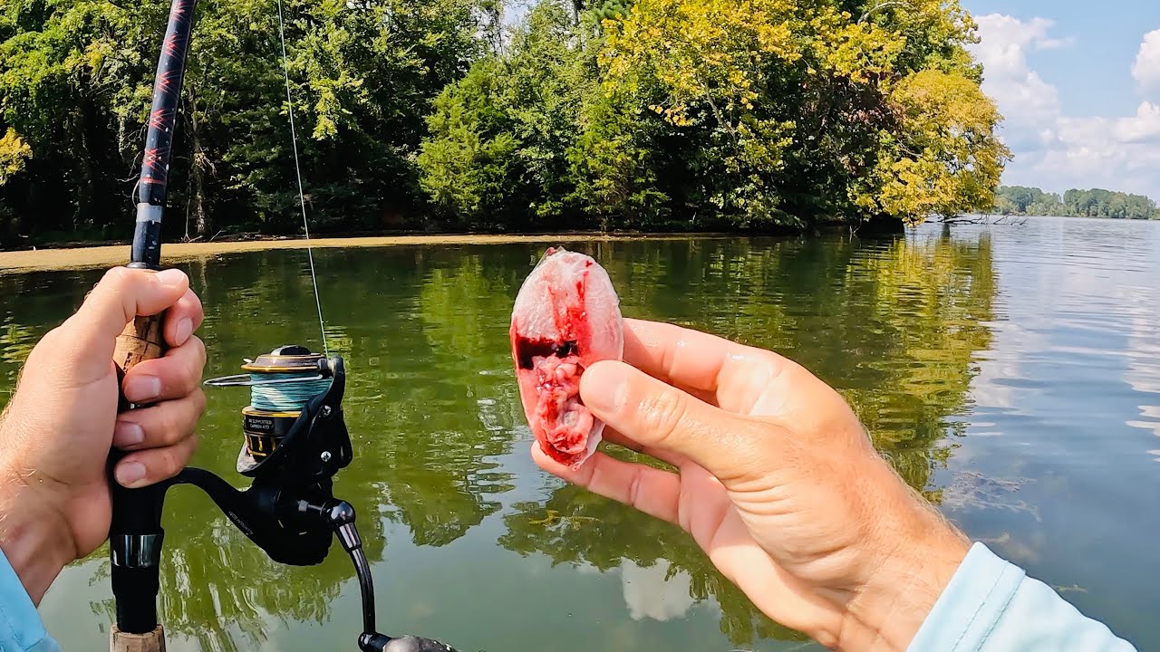 Heavy Tackle vs Light Tackle for Catfish - Side by Side Test