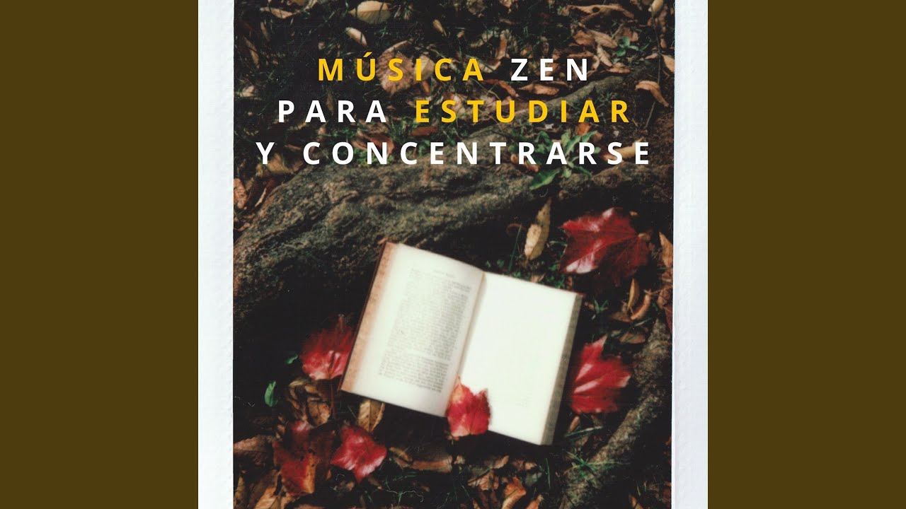 Estudiar Sin Estr&eacute;s