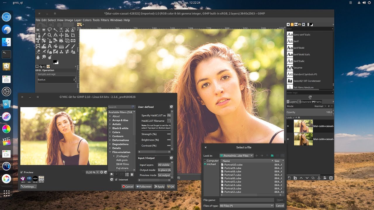Superfilter GMIC in Gimp 2.10.6 – Mit Farbtabellen arbeiten