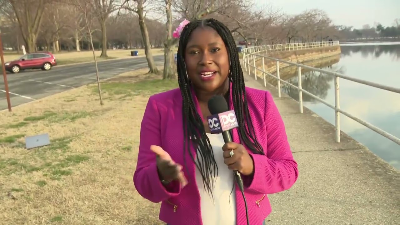 Peak bloom live shot