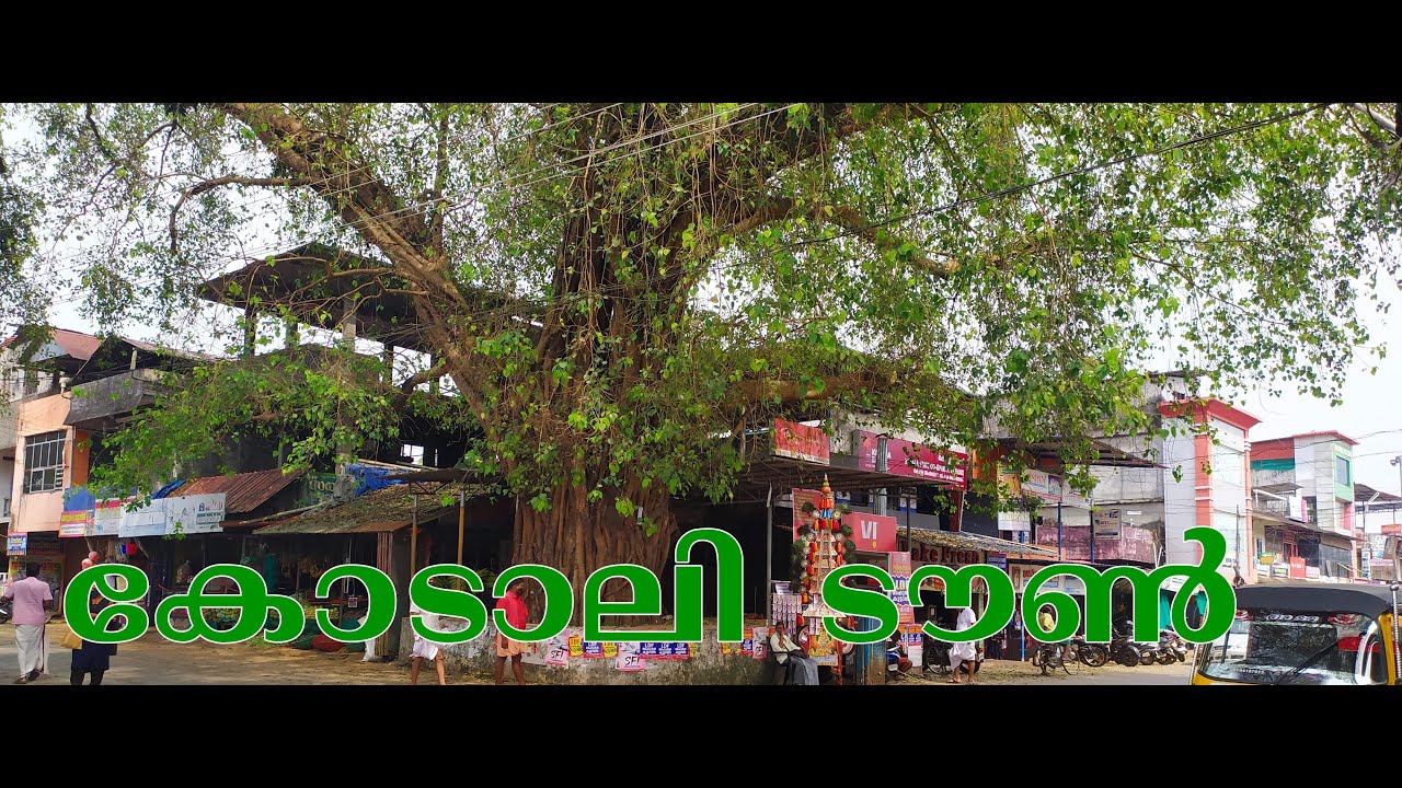 #kodaly town# കോടാലി ടൗണ്‍