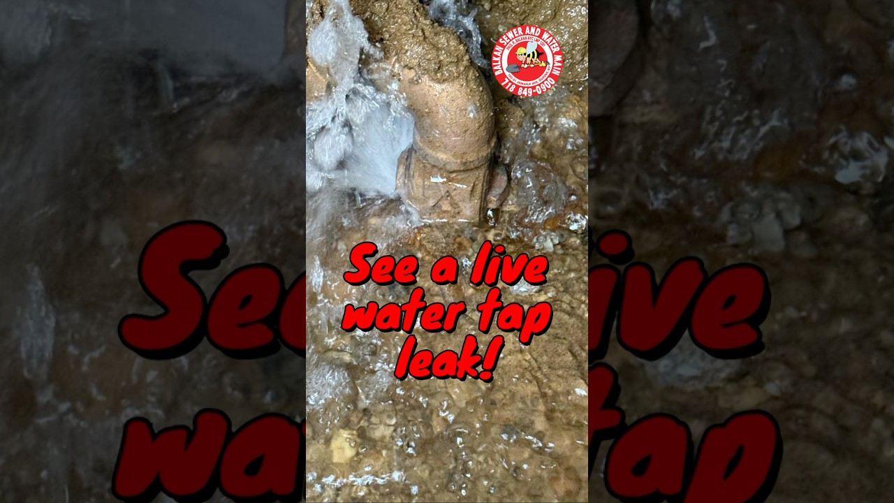 See A Live Water Line Tap Leak In Queens NYC - Team Balkan In Action!