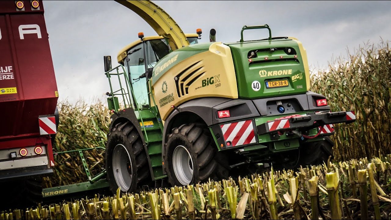 Loonbedrijf zandman Beerze | Mais oogst 2021 | Krone Big X 580 en Steyr's