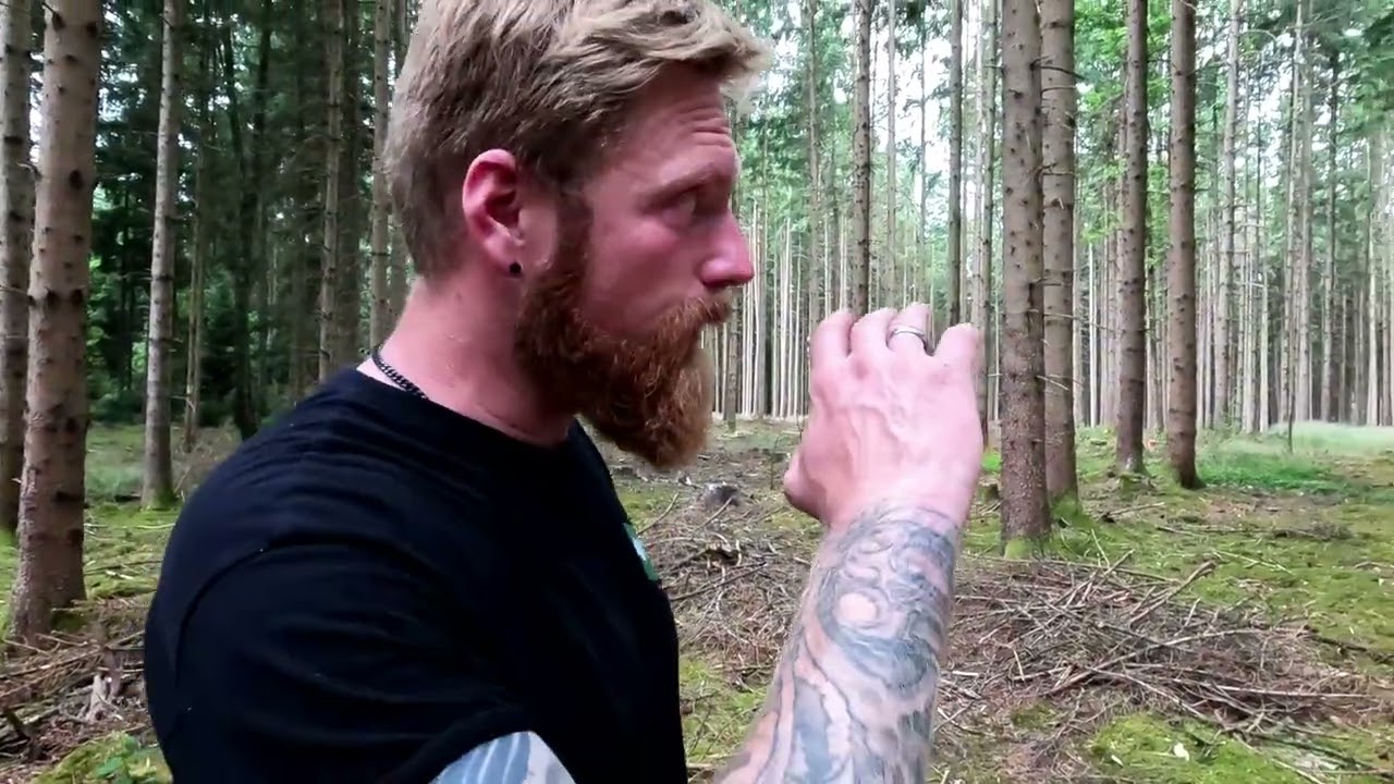 Wie erkennt man einen K&auml;ferbaum