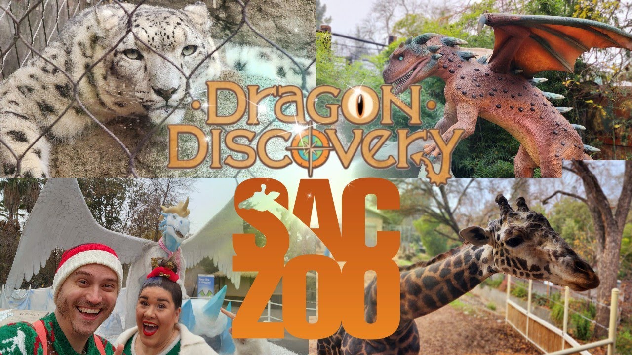 Sacramento Zoo 2022 | Dragon Discovery | Giraffe Feeding
