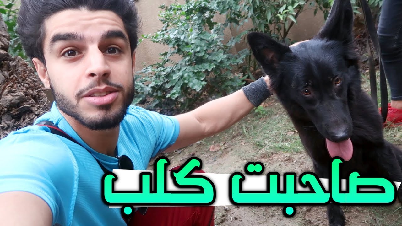 محمد صديقي صار قرد 🐒😂#فلوك هم رجعنالكم #عمار ماهر
