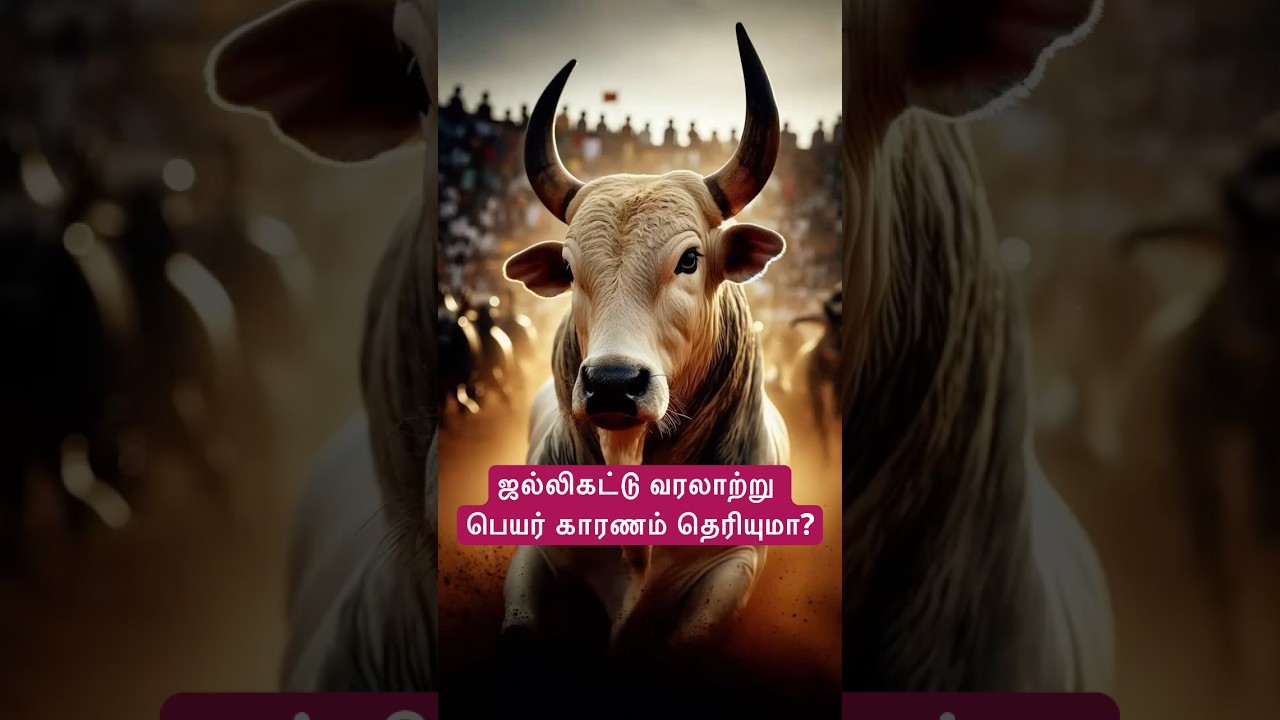 Jallikattu History ஜல்லிகட்டு வரலாற்று பரிமாணம் 