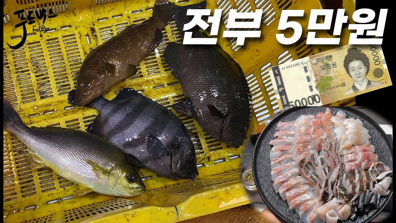 돌돔 벵에돔 붉바리 벤자리를 단돈 5만원에 사왔는데~  이게 참...