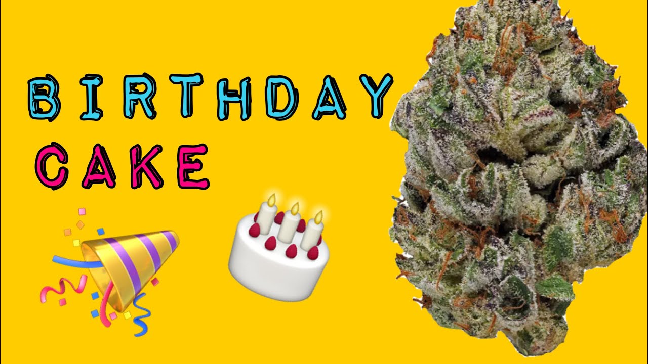 Birthday cake / STRAIN TEST
