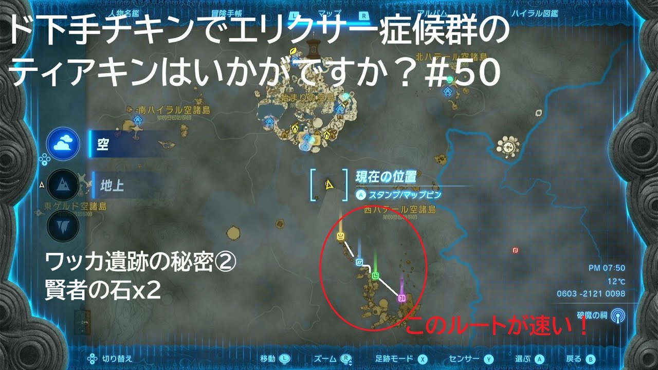 ド下手チキンでエリクサー症候群のティアキンはいかがですか？#50