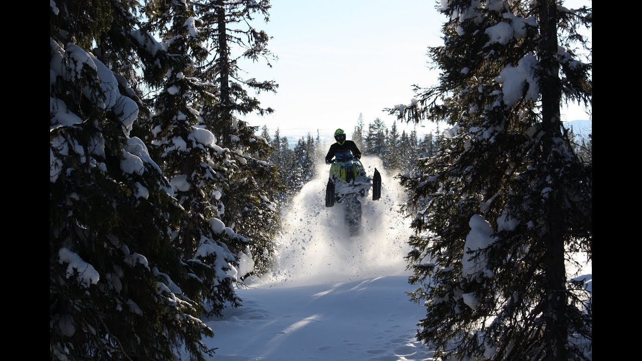 Polarix Axys Mtntk Turbo - 4K - Woodyfunland