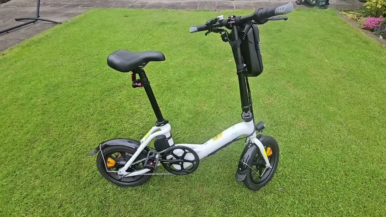 Fiido D3 Pro Mini Electric Bike