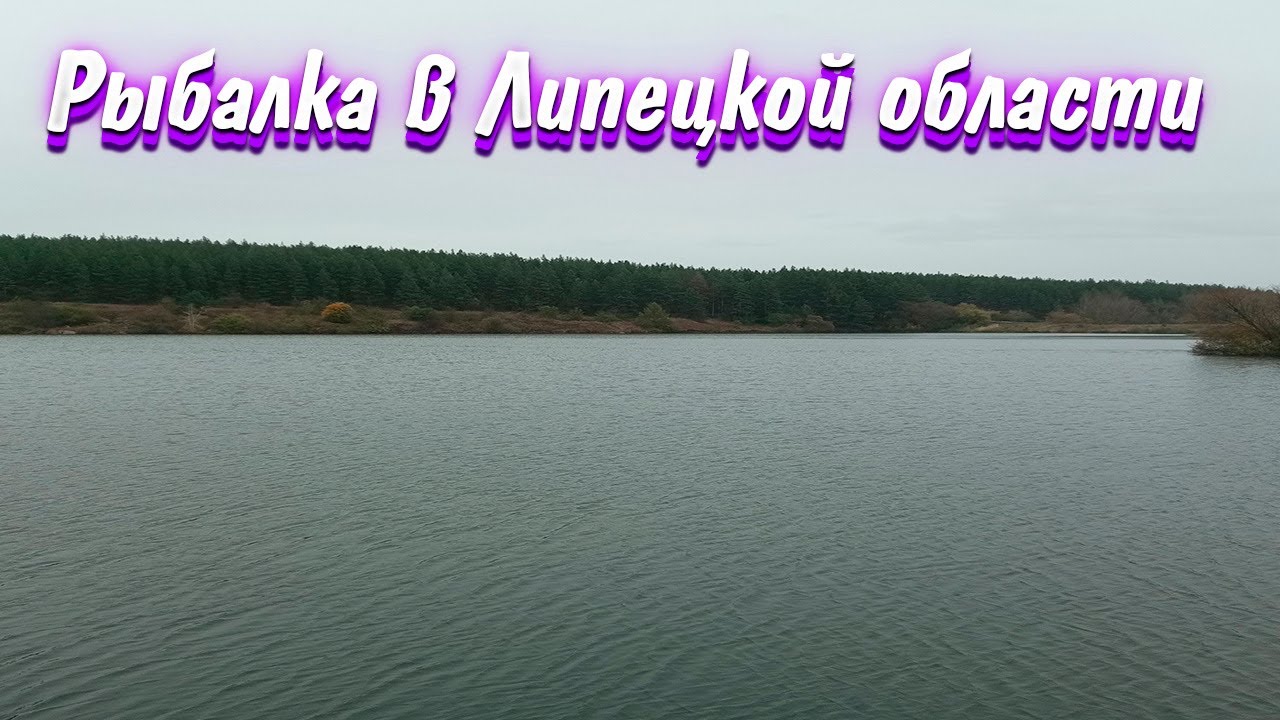 Рыбалка в Липецкой области  Ловля Окуня и Щуки на Озере на УЛ ОтвоДжиг | Рыбалка Осенью на спиннинг.