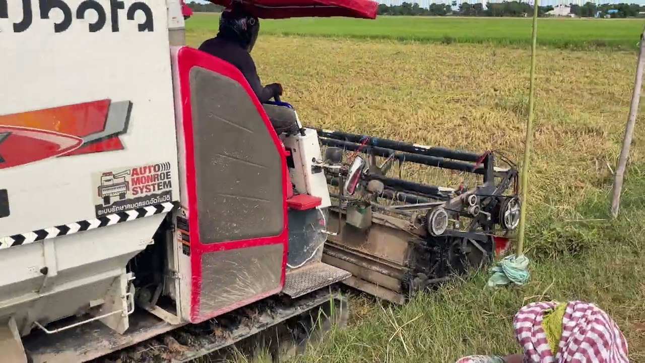 Harvest season 