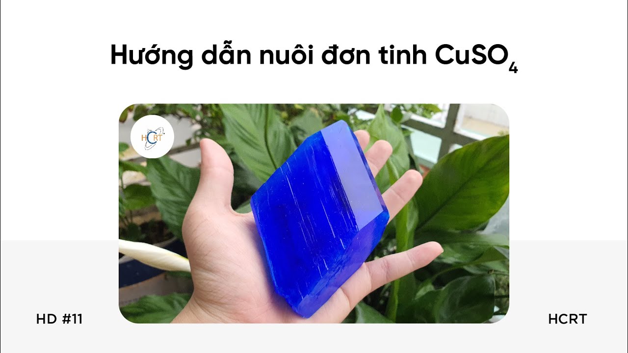 HD #11: Hướng dẫn nuôi tinh thể CuSO4 (Đồng II Sunfat) | HCRT - Tinh thể học