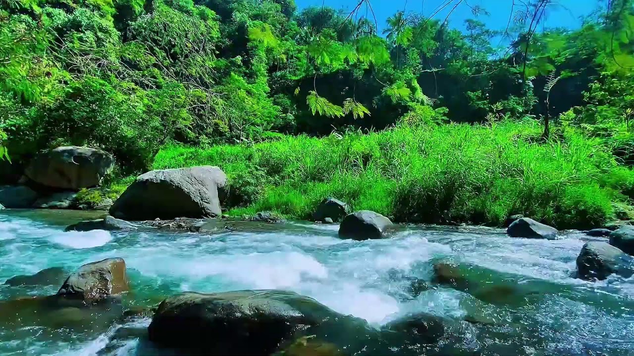 Mountain Stream Soft Water Flow, Forest River Audio, Sleeping