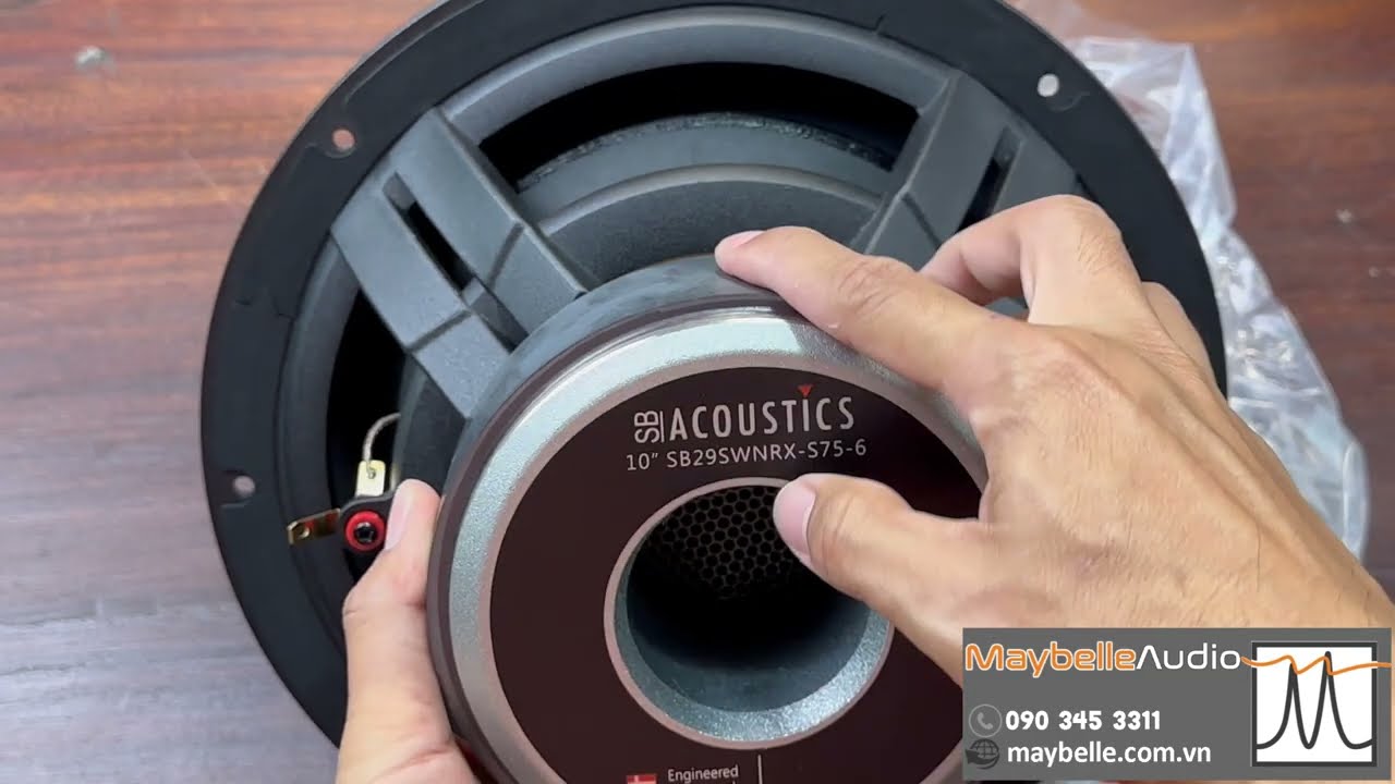 Giới thiệu củ loa sub 25cm SB29SWNRX-S75-6, đẳng cấp loa sub hi-end - Nhỏ gọn, Bass cực sâu.