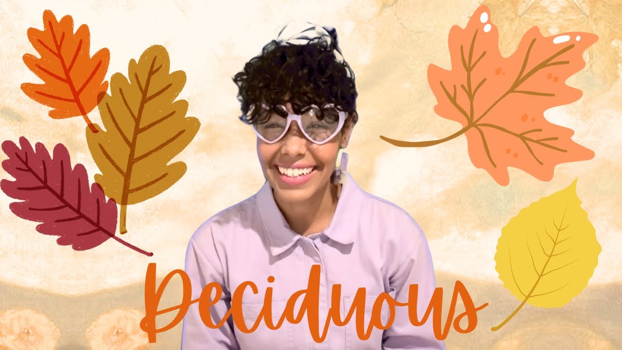 Deciduous Trees Song 🌳 | Fall Season Learning for Kids | Jane’s Sing Alongs