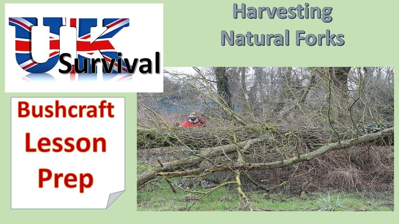 Harvesting Natural Forks for Slingshots in a Flooded Field VLog