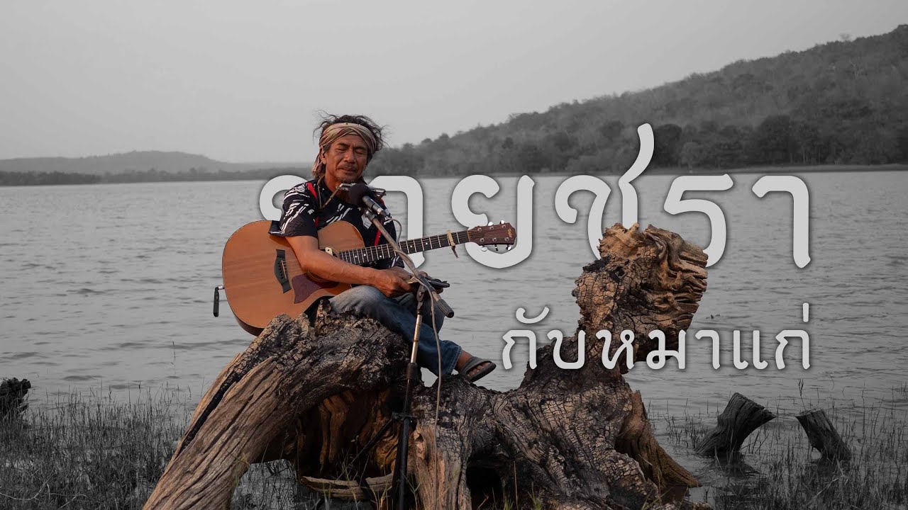 ชายชรากับหมาแก่ - เอ๋ ต้นกล้า