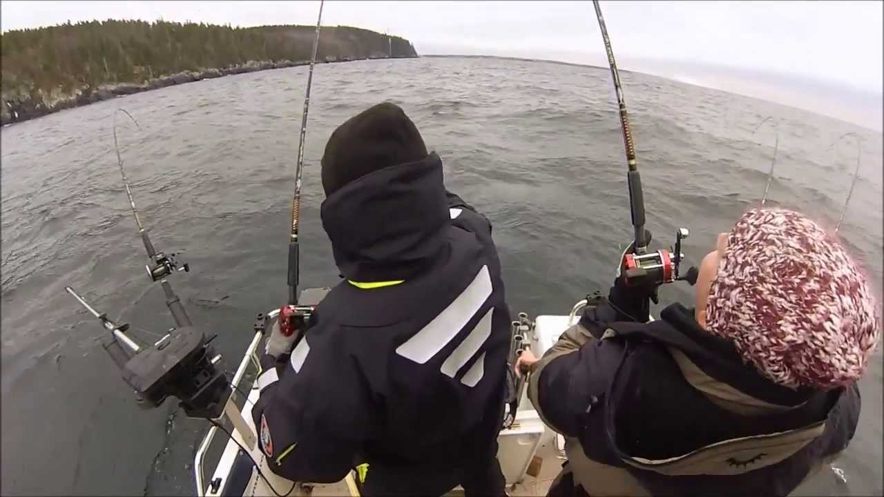 Trolling i Vättern  februari 2014