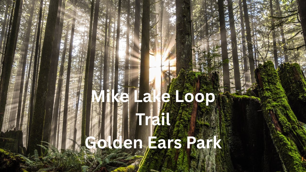 Mike Lake Loop Trail, Golden Ears Park, Maple Ridge, BC