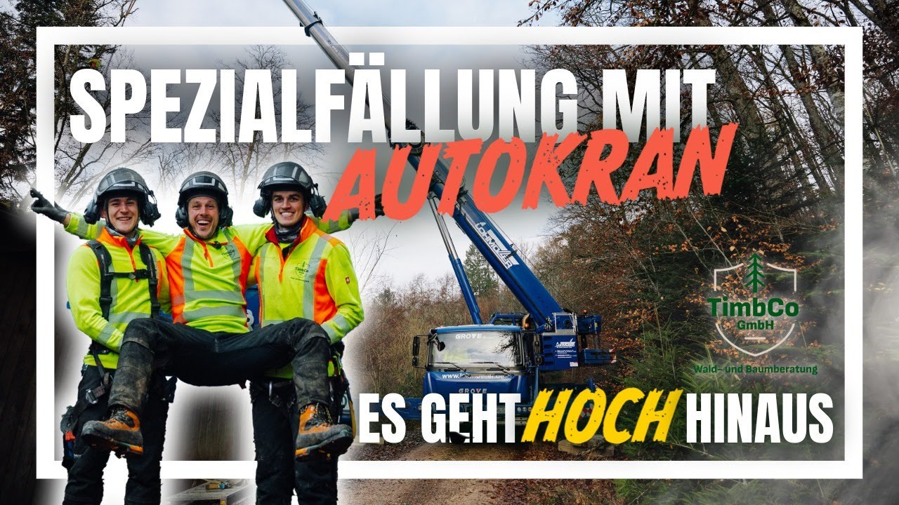 Spektakuläre Kranfällung im Vogelpark Steinen! | Gefahrbäume sicher entfernt | TimbCo GmbH