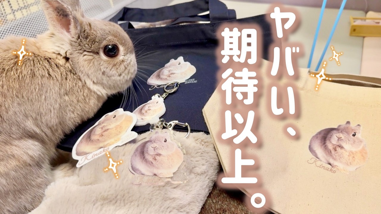 「これ全部あたし…？」大量の